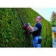 Акумулаторен храсторез Einhell GE-CH 36/65 Li-Solo - Акумулаторни храсторези