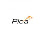 Pica